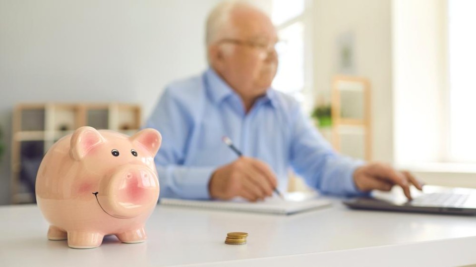 Ambtenarenpensioenfonds plust vrolijk verder