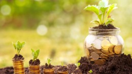 Duurzamer beheer vaak nog wensdroom