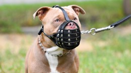 Filmen openbare weg toenemend probleem