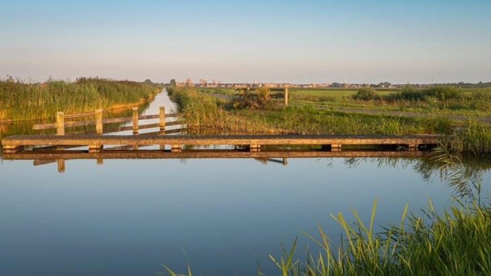 nederlands landschap