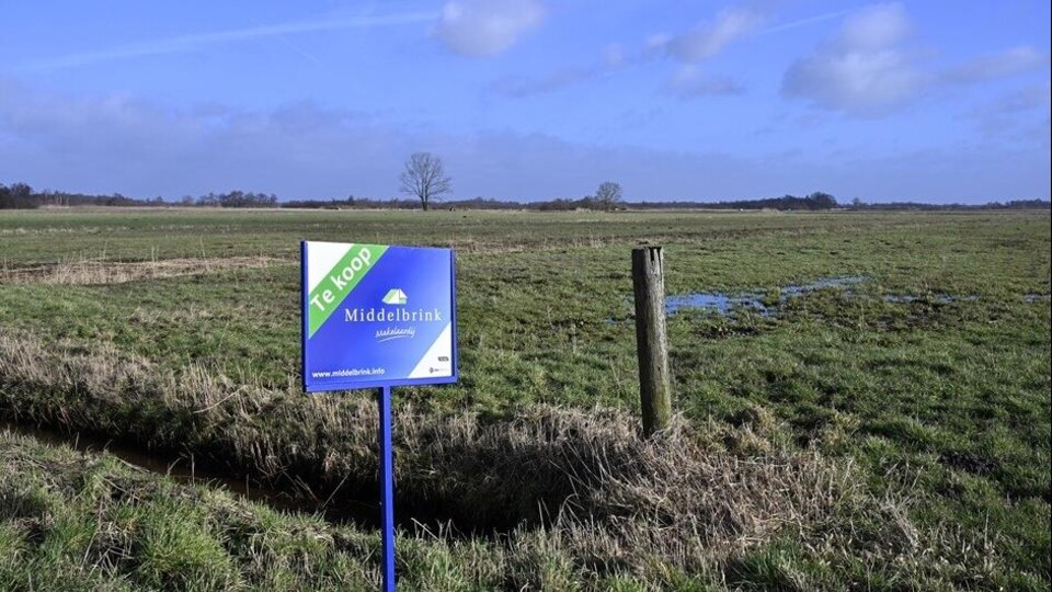 Een foto uit 2024: in Overijssel wordt boerenland te koop aangeboden.