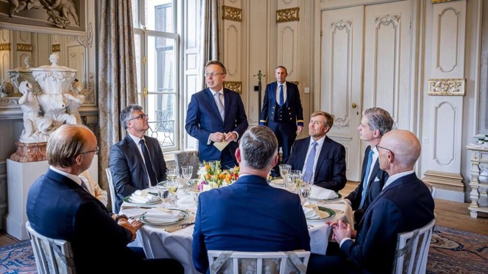 De Koning en de Commissarissen van de Koning.