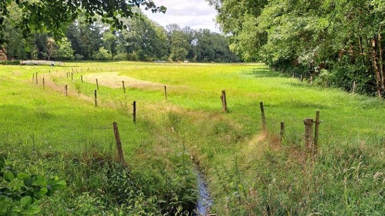 Verdroging beekdalen Oost-Nederland