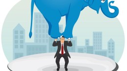 Rijk overvraagt de provincies met gebiedsprogramma’s