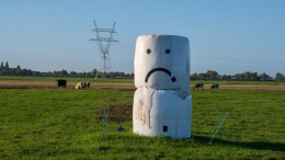 IPO en VNG vragen kabinet met spoed om oplossing stikstofimpasse
