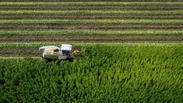 Hoge grondprijzen: overheid gooit ‘olie op het vuur’