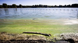 Volgens Raad gaat Nederland de Kaderrichtlijn Water niet halen