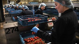 ‘Verhoging eigen bijdrage Oekraïners is een vergissing’