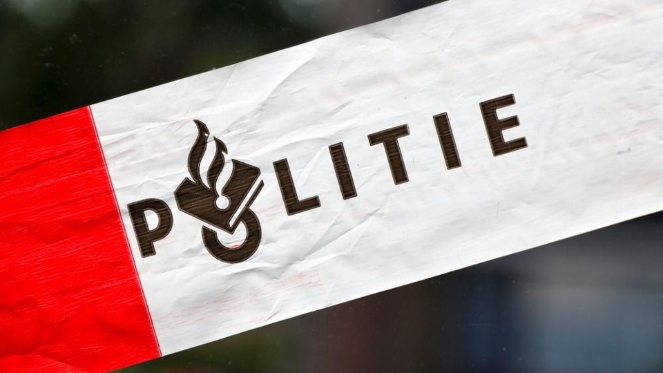 Politielint