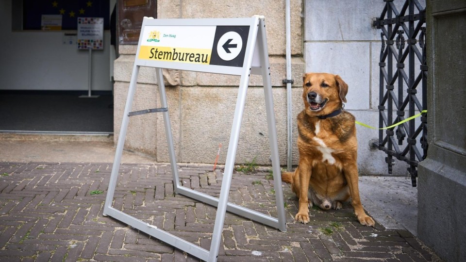 ANP Stemhokje hond