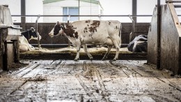 Transitiefonds is door de Tweede Kamer, maar zal toch stranden