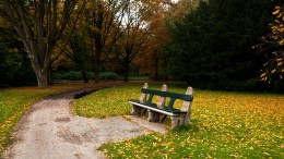 Groen is niet genoeg