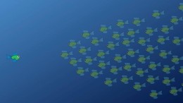 Don't shoot the messenger