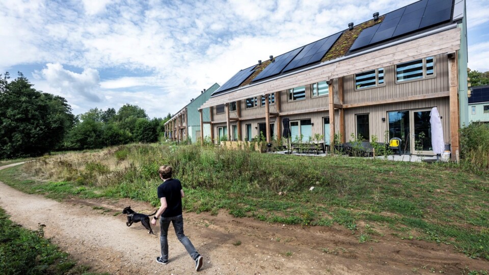 Rij houten nieuwbouwwoningen met groene sedumdaken en zonnepanelen, persoon jogt met hond op zandpad