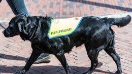 Hulphond alleen bij uitzondering voor rekening van gemeenten