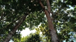 Klimaatadaptief handelen: strategisch, groen én praktisch