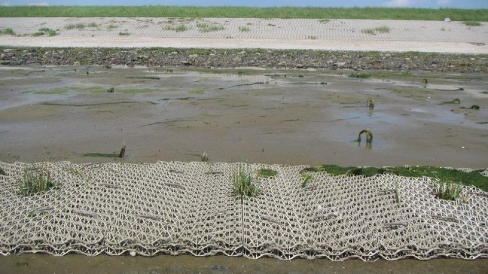 Een bioplasticstructuur met groen in een kwelder.