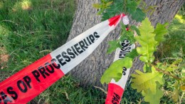 XenTari mag toch tegen eikenprocessierups worden ingezet