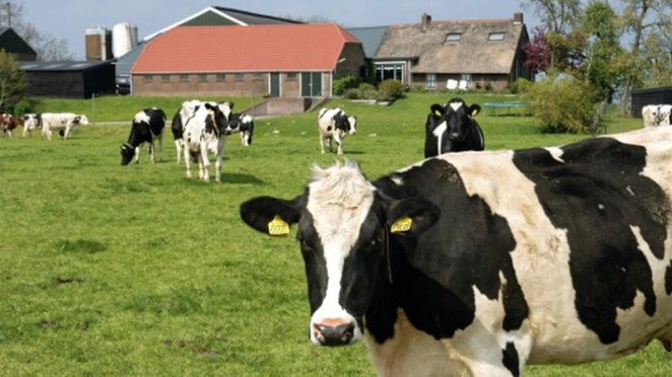 Zorgen over stikstof, maar ook begrip voor boer