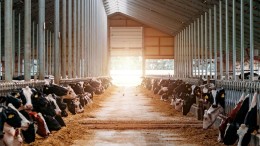 Rechtbank vernietigt natuurvergunningen