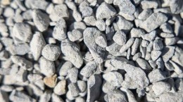 Staalslakken in Muiden? ‘Ik schrok nogal van de publicatie’