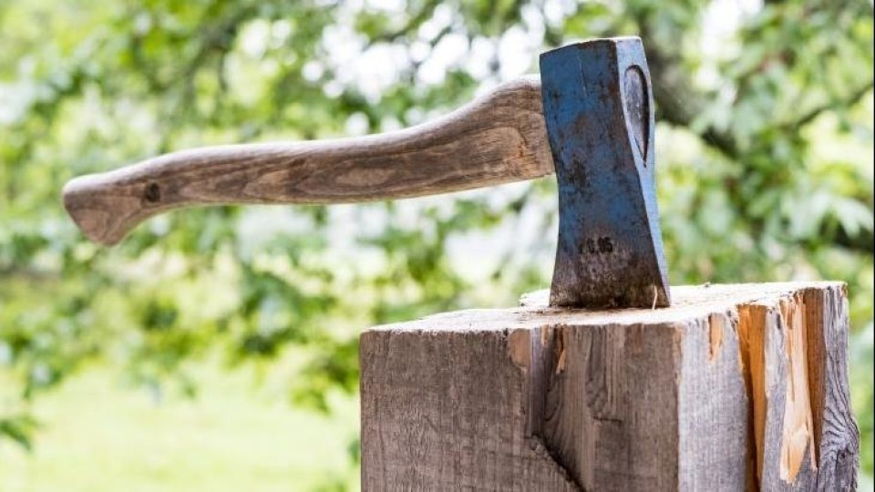 Bijl voor bomenkap