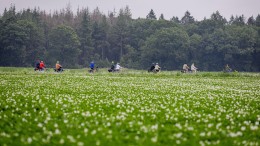 Noordelijk fietsbeleid terwijl de ongelukken toenamen
