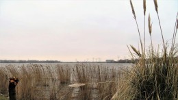 Staten Noord-Holland tegen windturbines in Amsterdamse polder