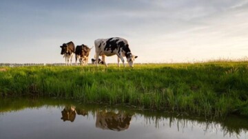 Diepe plassen: van afvalput naar circulaire oplossing