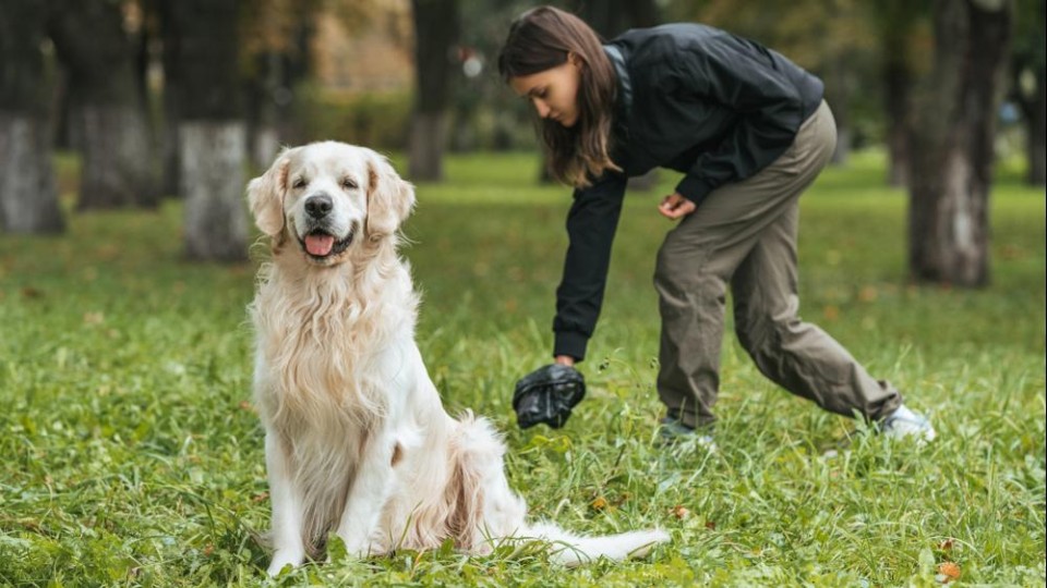 Vrouw ruimt poep van hond op