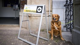 Handhavers houden stembureaus in de gaten op verkiezingsdag