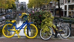 Nooit genoeg opvangplekken