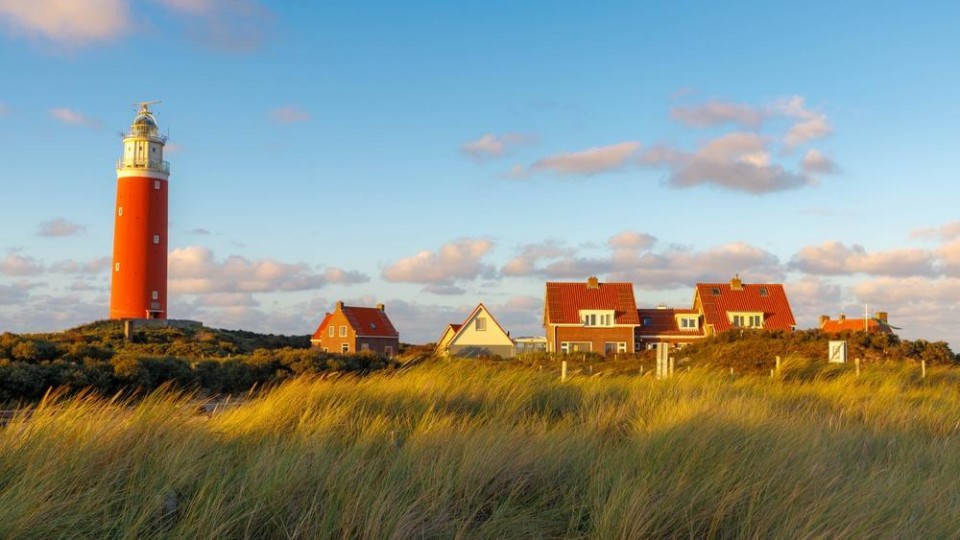 Texel