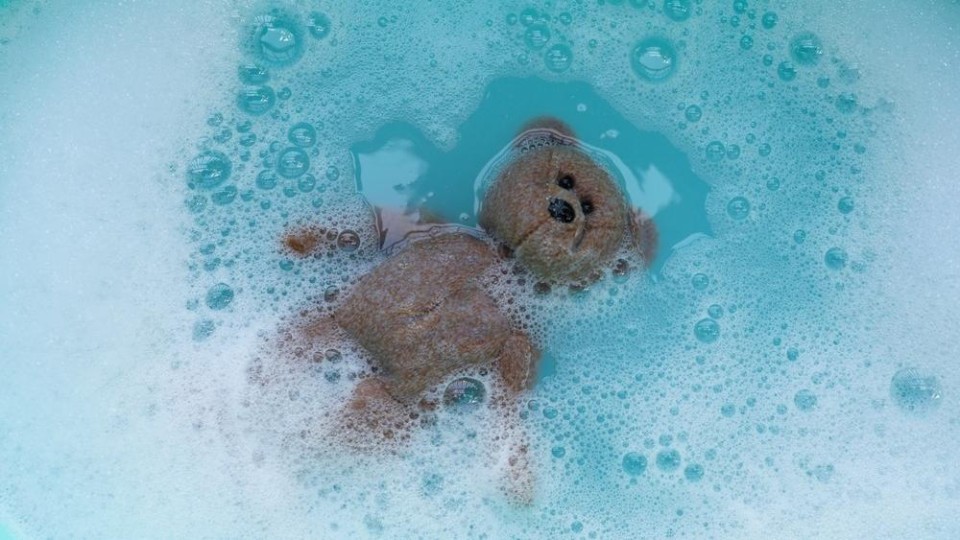 Teddybeer in een sopje