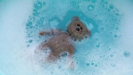 Onbekende Russische groep hackte politie in september