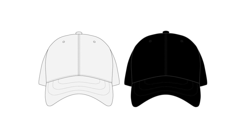 Ex-wethouders zetten als Kamerlid andere pet op