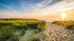 Hollandse Duinen wordt nationaal park