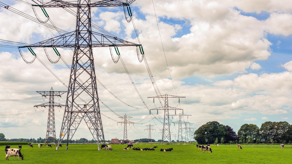 Hoogspanningsmasten in Noord-Brabant