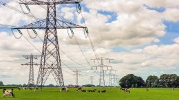 Kabinet wil gemeenten ontzorgen bij investeringen stroomnet