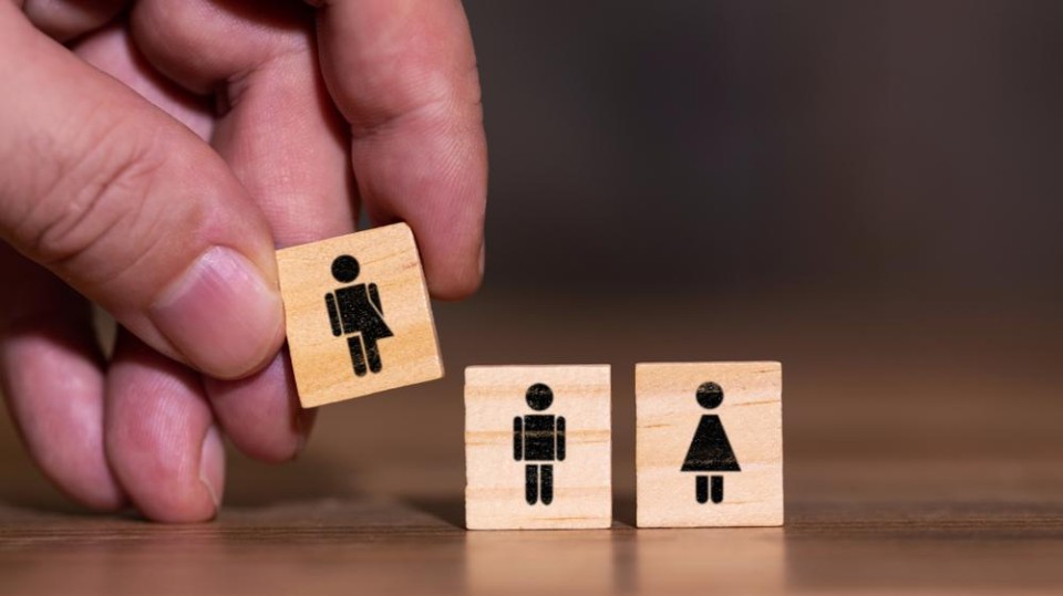 Transgender Shutterstock