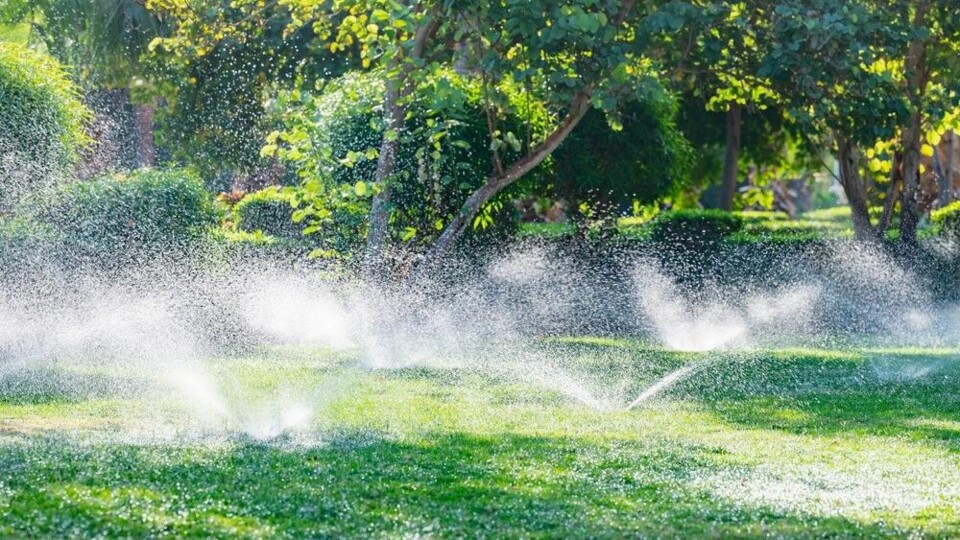 Sproeiers die water verspreiden over een groen grasveld met bomen op de achtergrond.