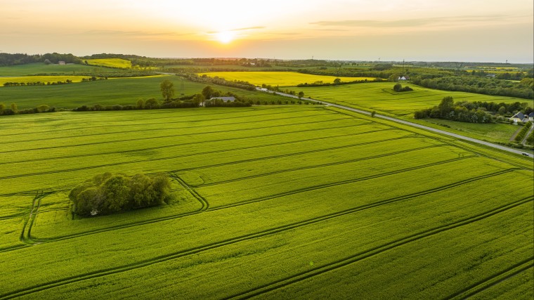 Deense klimaatheffing landbouw ook in Nederland op tafel