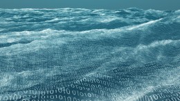 'We wilden onze kwetsbaarheid verkleinen'