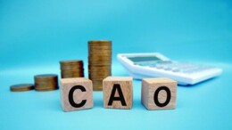 Vakbondsleden stemmen massaal in met cao rijk
