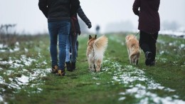 Verre van aanwezig: nabijheid als ontbrekende schakel in de ruimtelijke opgave