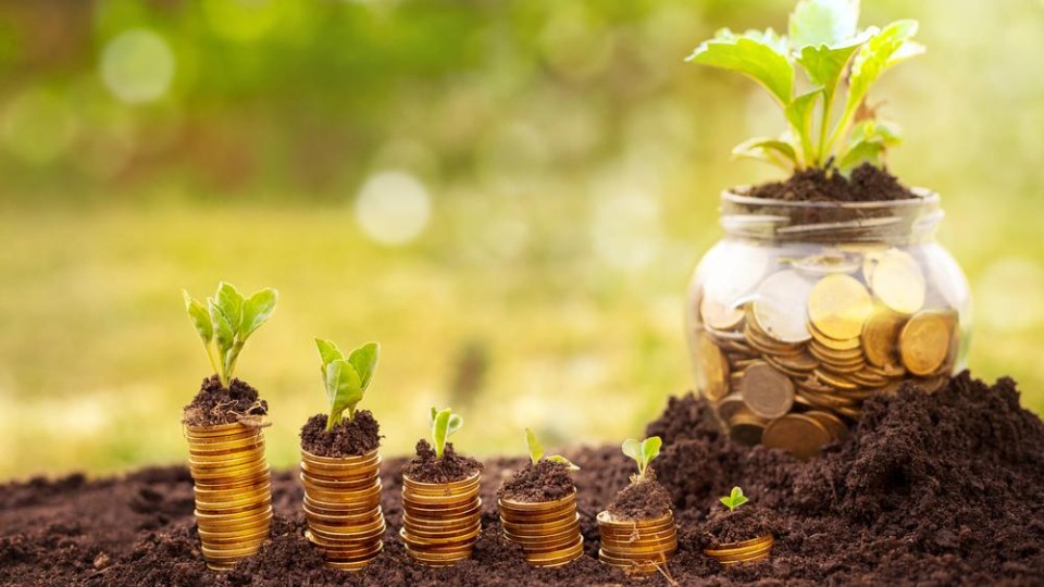 Groene plantjes op potten geld