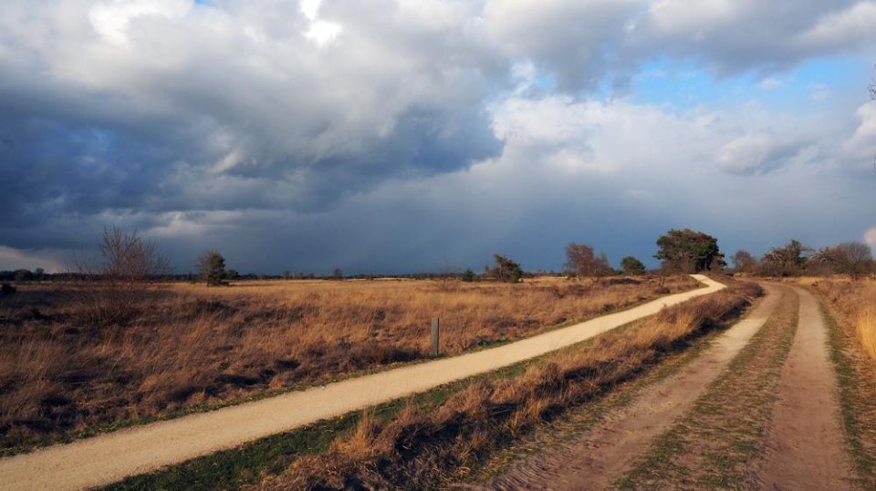 Stabrechtse heide