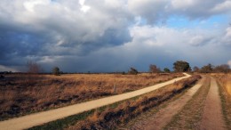 Brabant zet rem op vergunningen voor natuur