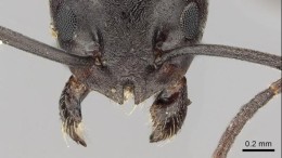 Wachten op landelijke aanpak mediterraan draaigatje