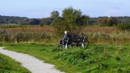 'Gemeenten moeten zelf regie houden bij natuurlijk begraven'